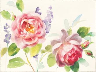 Watercolor Roses | Obraz na stenu