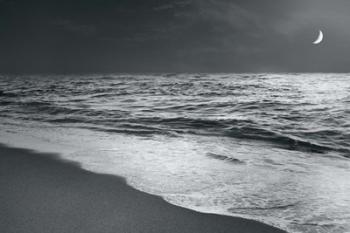 Moonrise Beach Black and White | Obraz na stenu