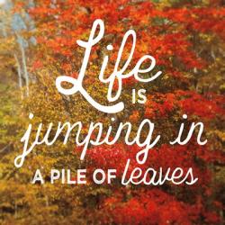 Life is for Jumping | Obraz na stenu
