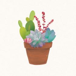 Succulent Pot III | Obraz na stenu