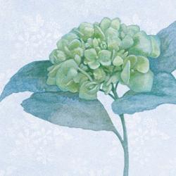 Blue Hydrangea II | Obraz na stenu