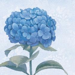 Blue Hydrangea III | Obraz na stenu