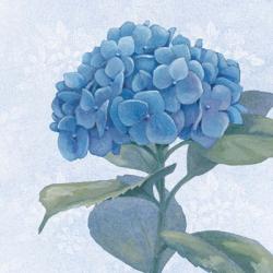 Blue Hydrangea IV | Obraz na stenu