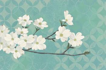 Dogwood Blossoms | Obraz na stenu