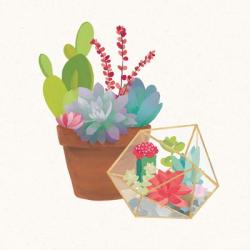 Succulent Garden II | Obraz na stenu