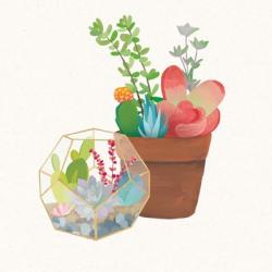 Succulent Garden III | Obraz na stenu