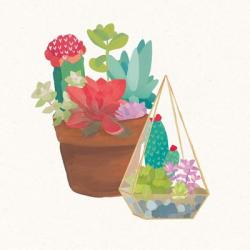 Succulent Garden IV | Obraz na stenu