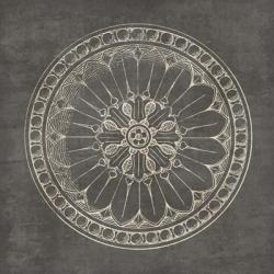 Rosette I Gray | Obraz na stenu