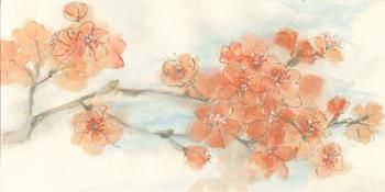 Peach Blossom I | Obraz na stenu