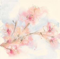 Pink Blossoms II | Obraz na stenu