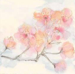 Pink Blossoms III | Obraz na stenu