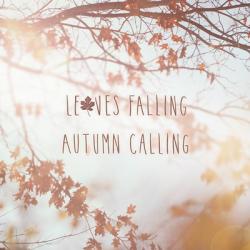 Autumn Calling I | Obraz na stenu