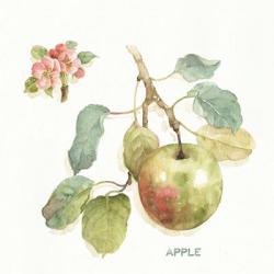 Orchard Bloom I | Obraz na stenu