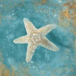 Treasures from the Sea IV Aqua | Obraz na stenu