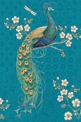Ornate Peacock IXE | Obraz na stenu