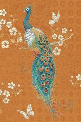 Ornate Peacock X Spice | Obraz na stenu