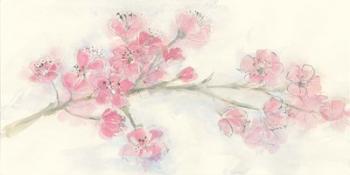 Cherry Blossom I | Obraz na stenu