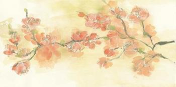 Tinted Blossoms I | Obraz na stenu