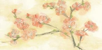 Tinted Blossoms II | Obraz na stenu