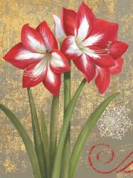 Winter Birds Amaryllis I | Obraz na stenu