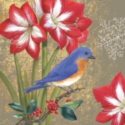 Winter Birds Bluebird | Obraz na stenu
