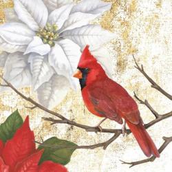 Winter Birds Cardinal | Obraz na stenu