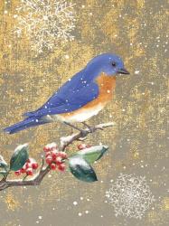 Winter Birds Bluebird Color | Obraz na stenu