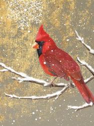 Winter Birds Cardinal Color | Obraz na stenu