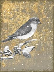 Winter Birds Bluebird Neutral | Obraz na stenu