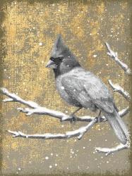 Winter Birds Cardinal Neutral | Obraz na stenu