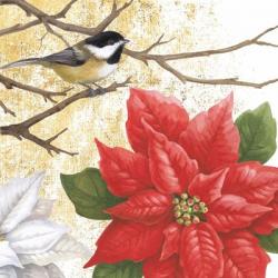 Winter Birds Chicadee Collage | Obraz na stenu