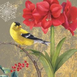 Winter Birds Goldfinch Collage | Obraz na stenu