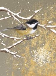 Winter Birds Chickadee Color | Obraz na stenu