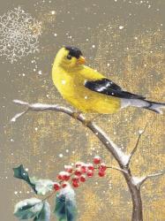 Winter Birds Goldfinch Color | Obraz na stenu