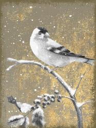 Winter Birds Goldfinch Neutral | Obraz na stenu