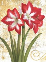 Winter Birds Amaryllis I Gold and White | Obraz na stenu