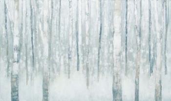 Birches in Winter Blue Gray | Obraz na stenu
