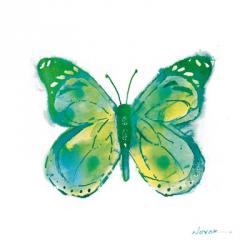 Birdsong Garden Butterfly I on White | Obraz na stenu