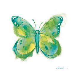 Birdsong Garden Butterfly II on White | Obraz na stenu