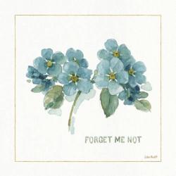 My Greenhouse Forget Me Not | Obraz na stenu