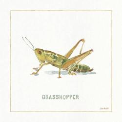 My Greenhouse Grasshopper | Obraz na stenu