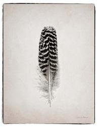 Feather I BW | Obraz na stenu