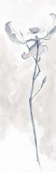 Solitary Dogwood IV Gray | Obraz na stenu