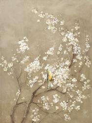White Cherry Blossom I Neutral Crop Bird | Obraz na stenu