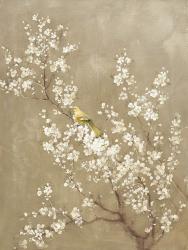 White Cherry Blossom II Neutral Crop Bird | Obraz na stenu
