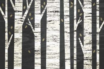 Birch Forest | Obraz na stenu