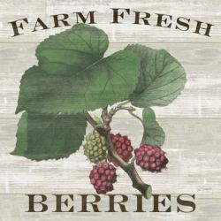 Farm Fresh Berries I | Obraz na stenu