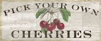 Farm Fresh Cherries | Obraz na stenu