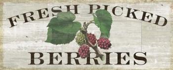 Farm Fresh Berries | Obraz na stenu