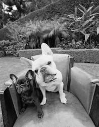 Always Friends | Obraz na stenu